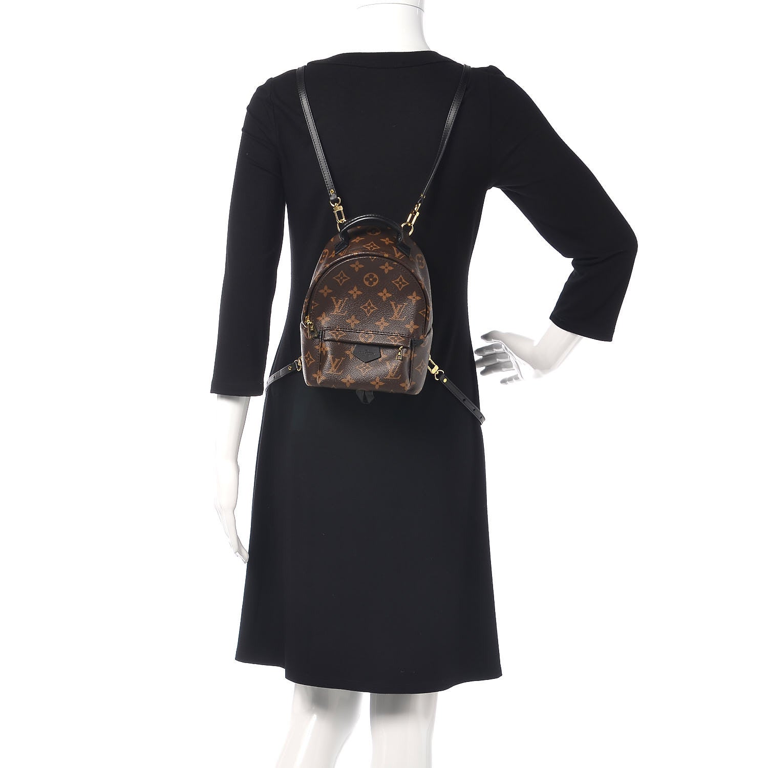 Louis Vuitton Monogram Palm Springs Backpack Mini 2 of 9