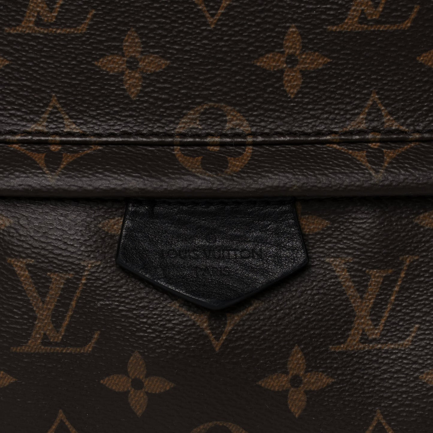 Monogram Palm Springs Backpack MM