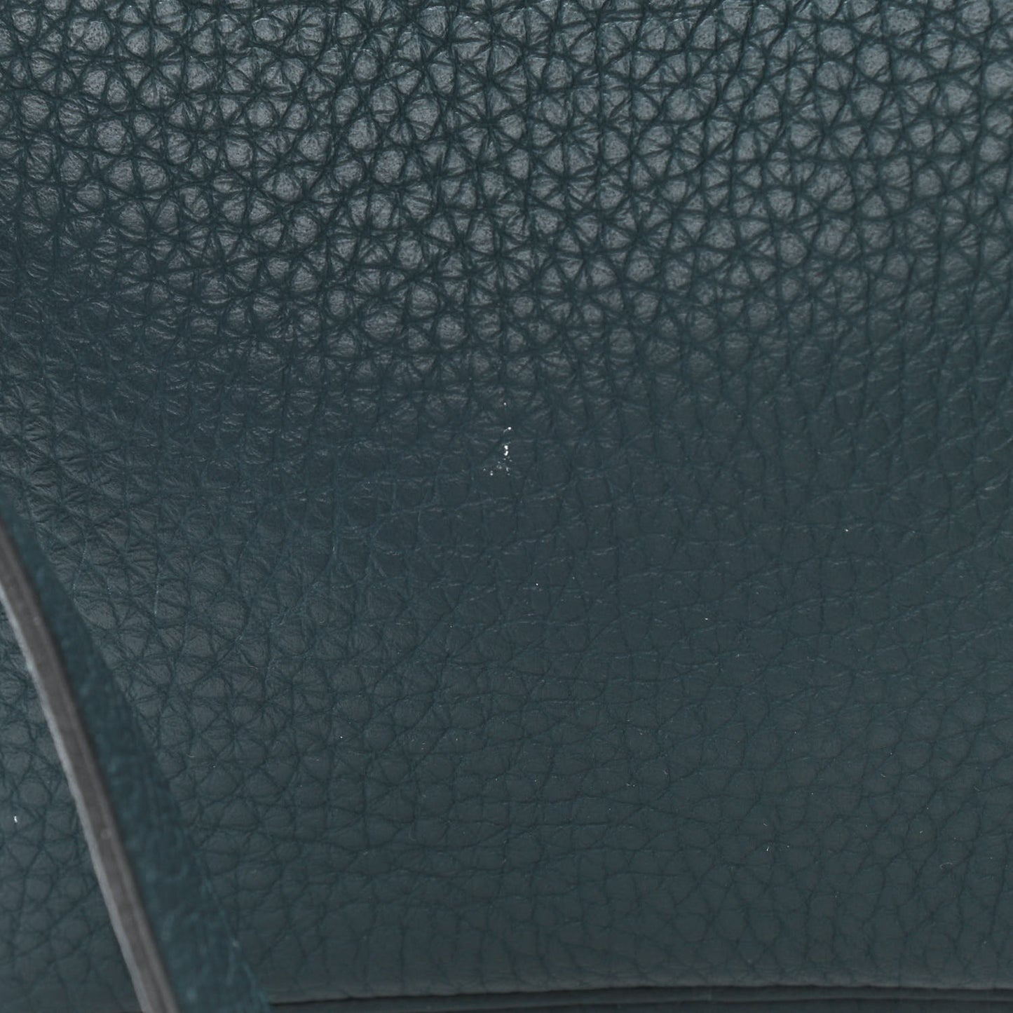 Taurillon Clemence Mini Lindy 20 Vert Cypress
