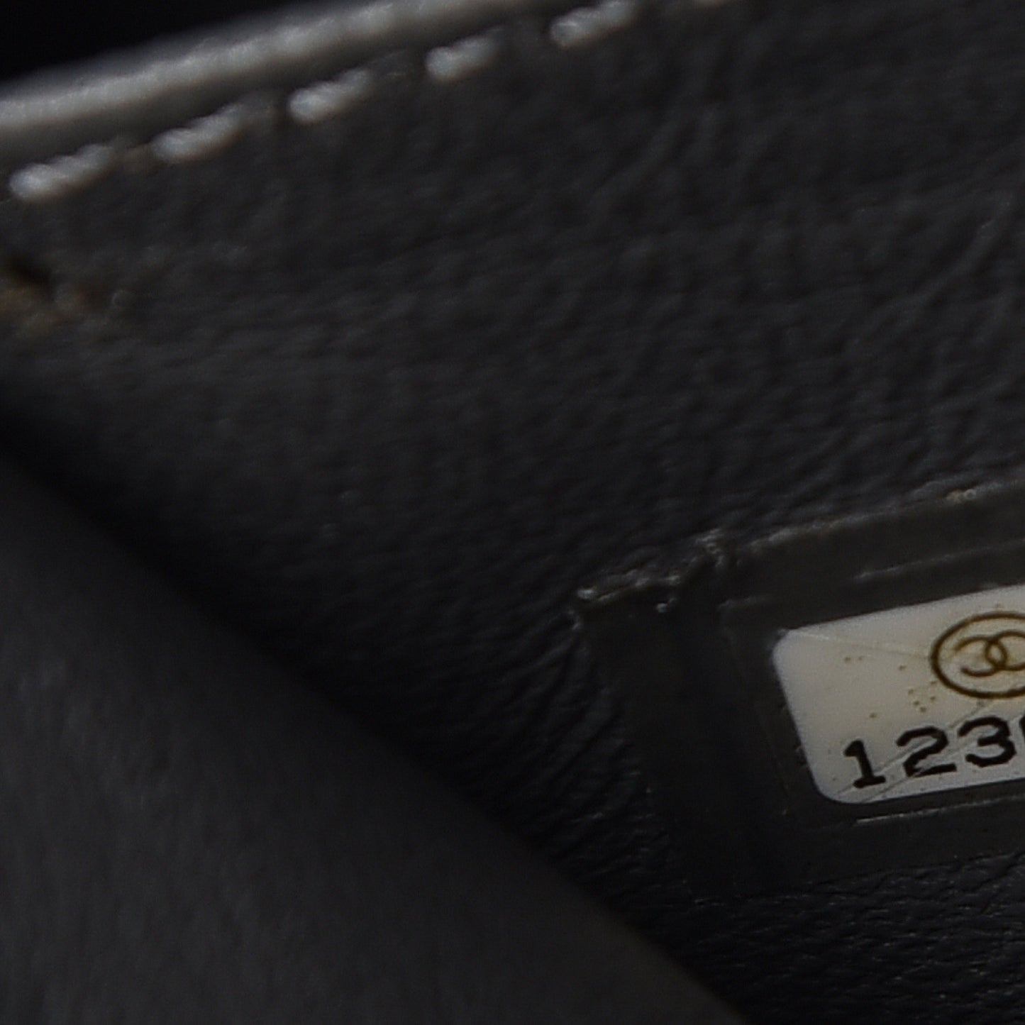 Aged Calfskin Medium Reissue Camera Case Grey