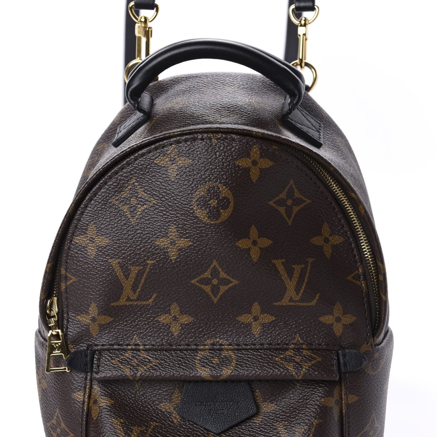 Monogram Palm Springs Backpack Mini