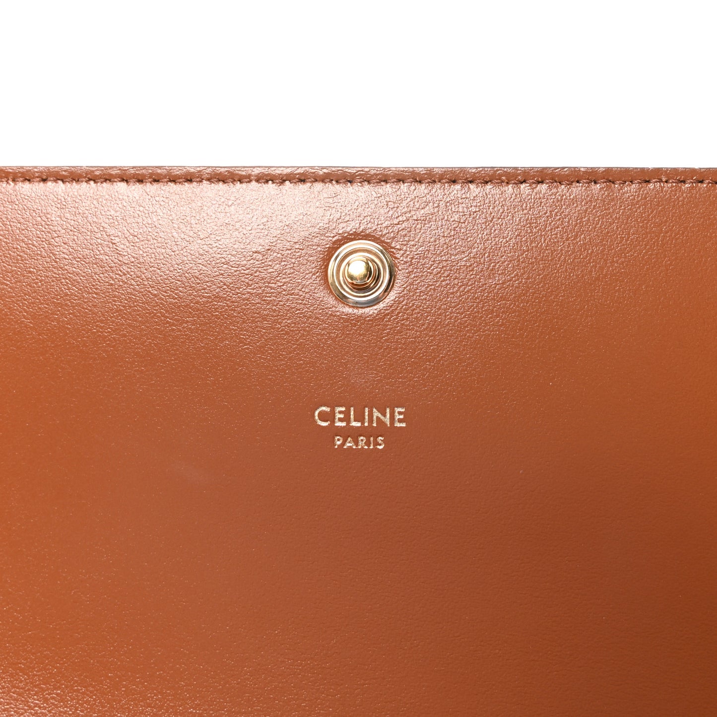Triomphe Canvas Multipochette Tan