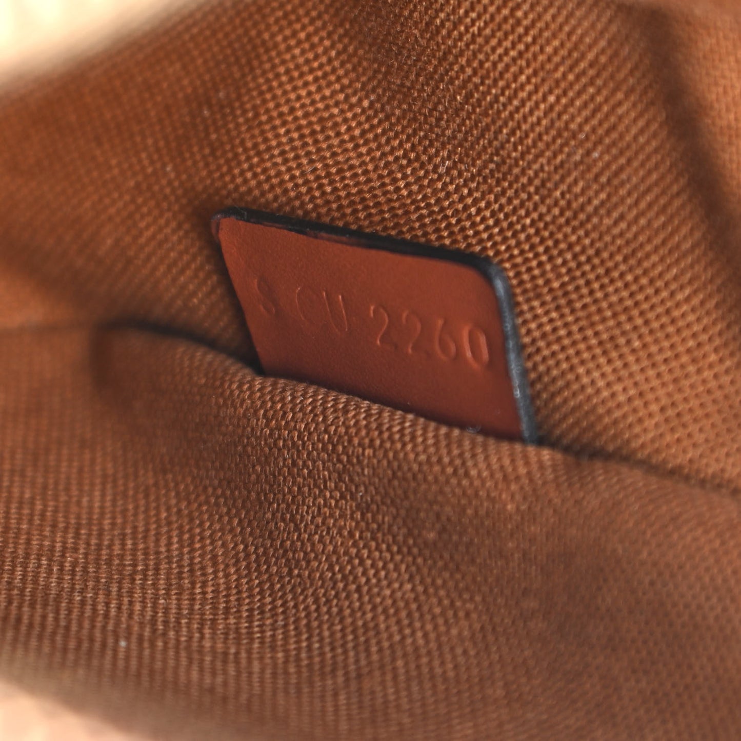 Triomphe Canvas Small Camera Bag Tan