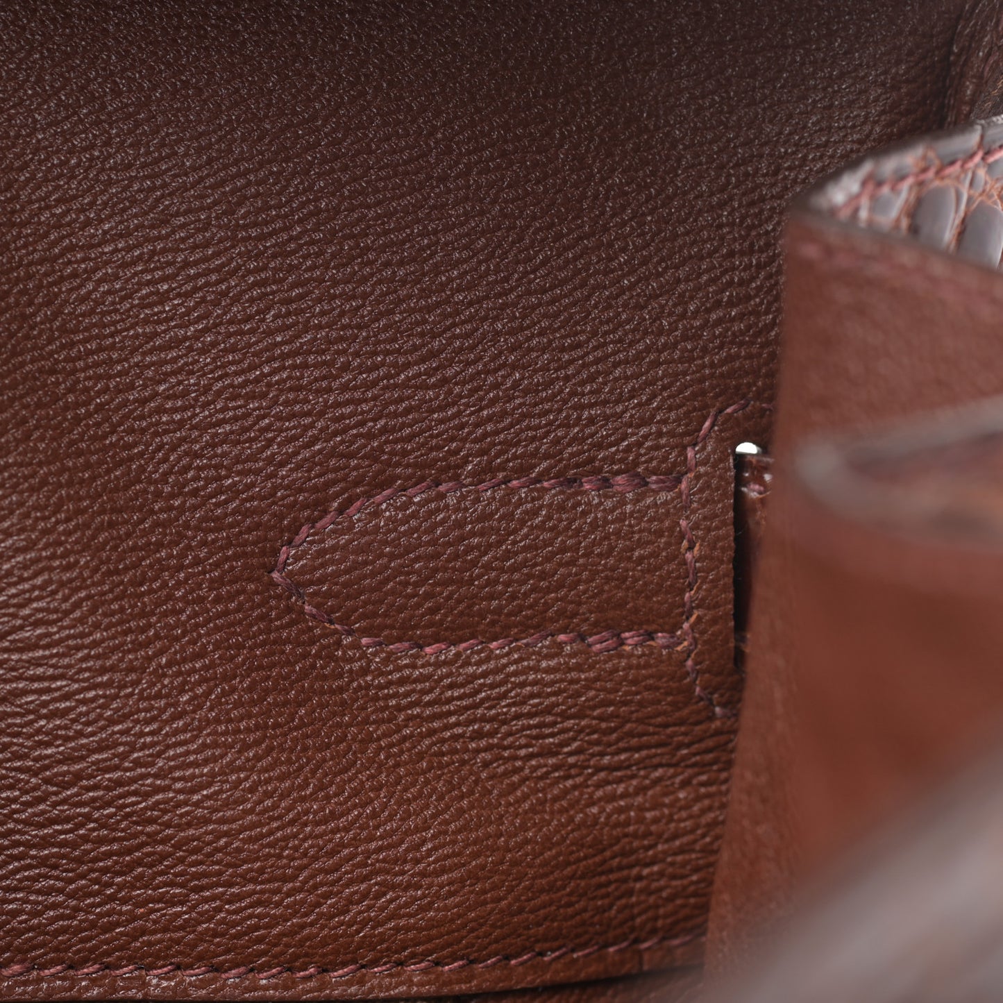Shiny Porosus Birkin 35 Miel