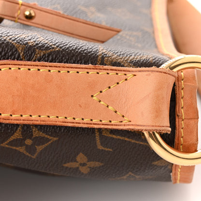 Louis Vuitton Monogram Delightful GM 12 of 14