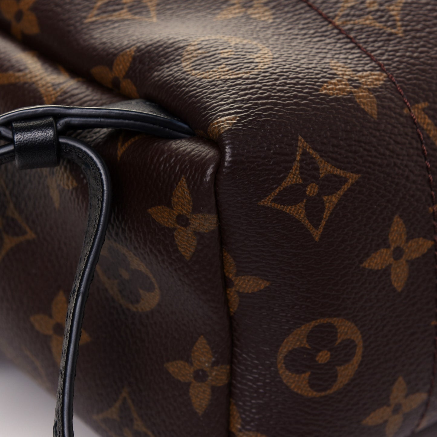 Monogram Palm Springs Backpack PM