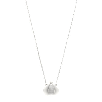 Tiffany Sterling Silver Small Elsa Peretti Bottle Pendant Necklace 1 of 6