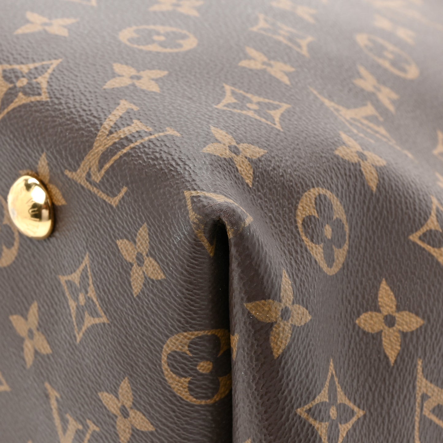 Monogram Carryall MM