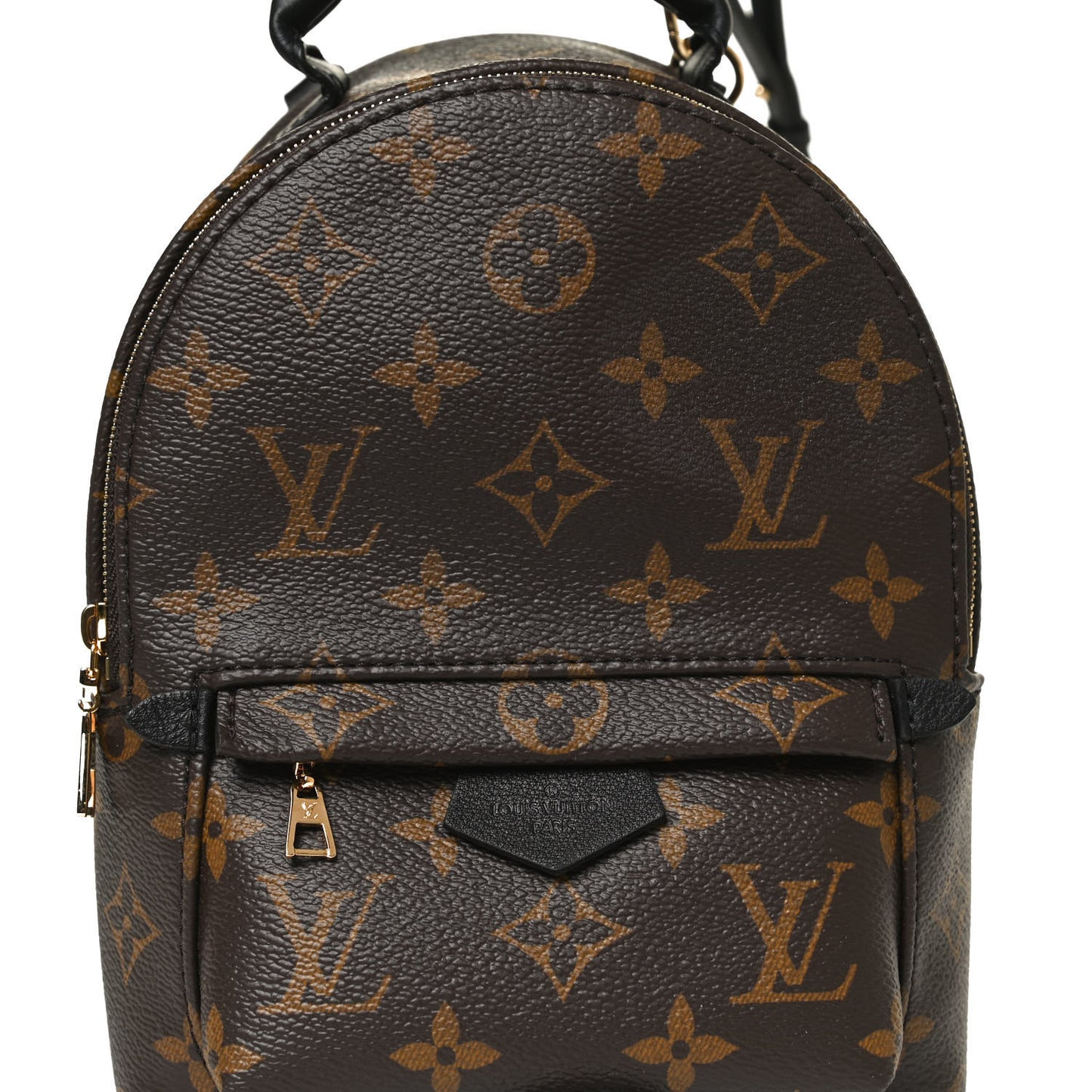 Monogram Palm Springs Backpack Mini