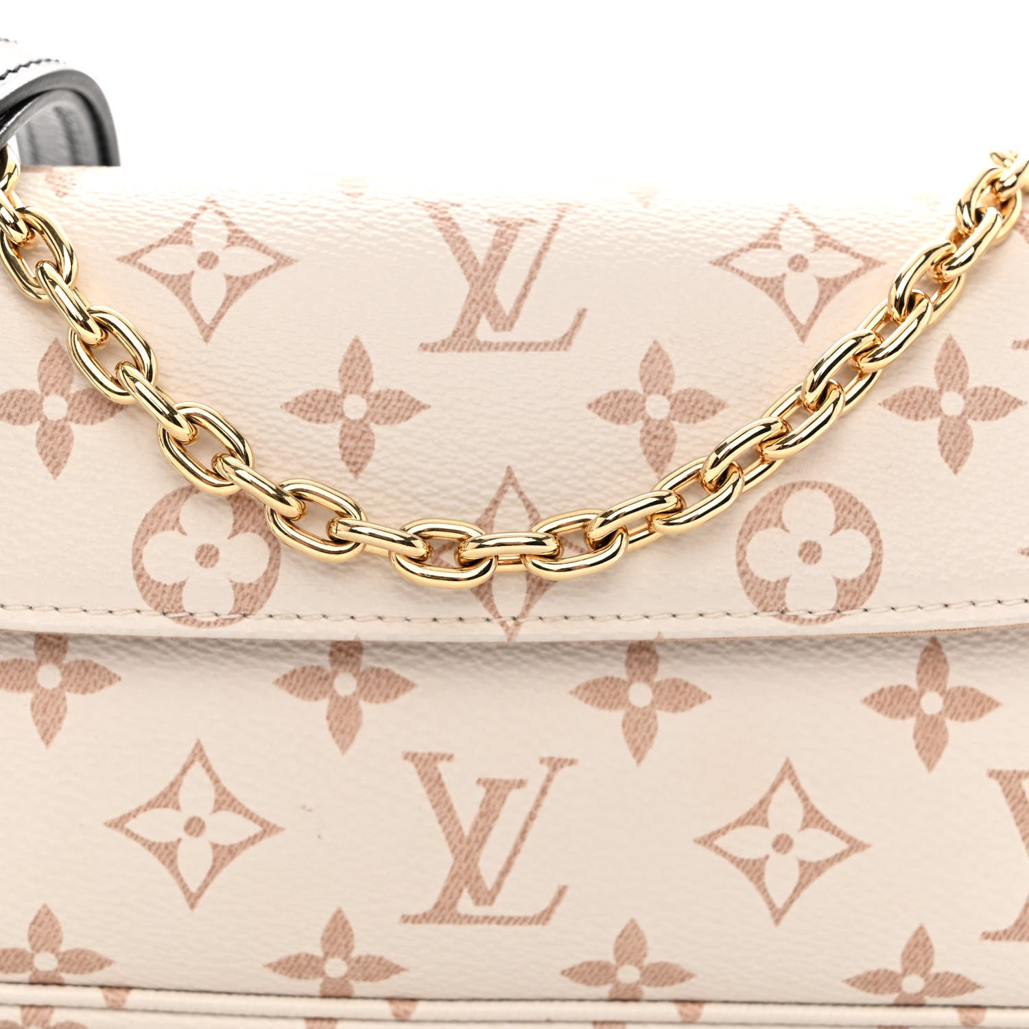 Louis Vuitton Monogram Dune Ivy Wallet On Chain 7 of 9
