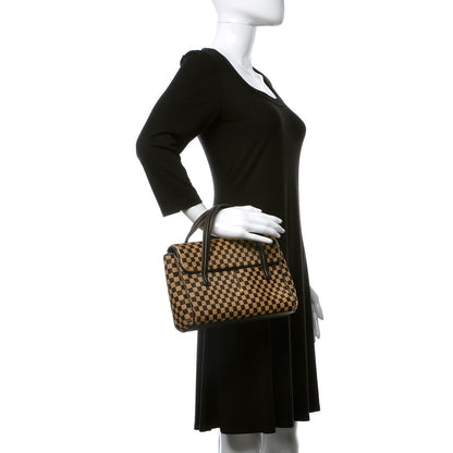 Louis Vuitton Damier Calf Hair Sauvage Lionne 2 of 9