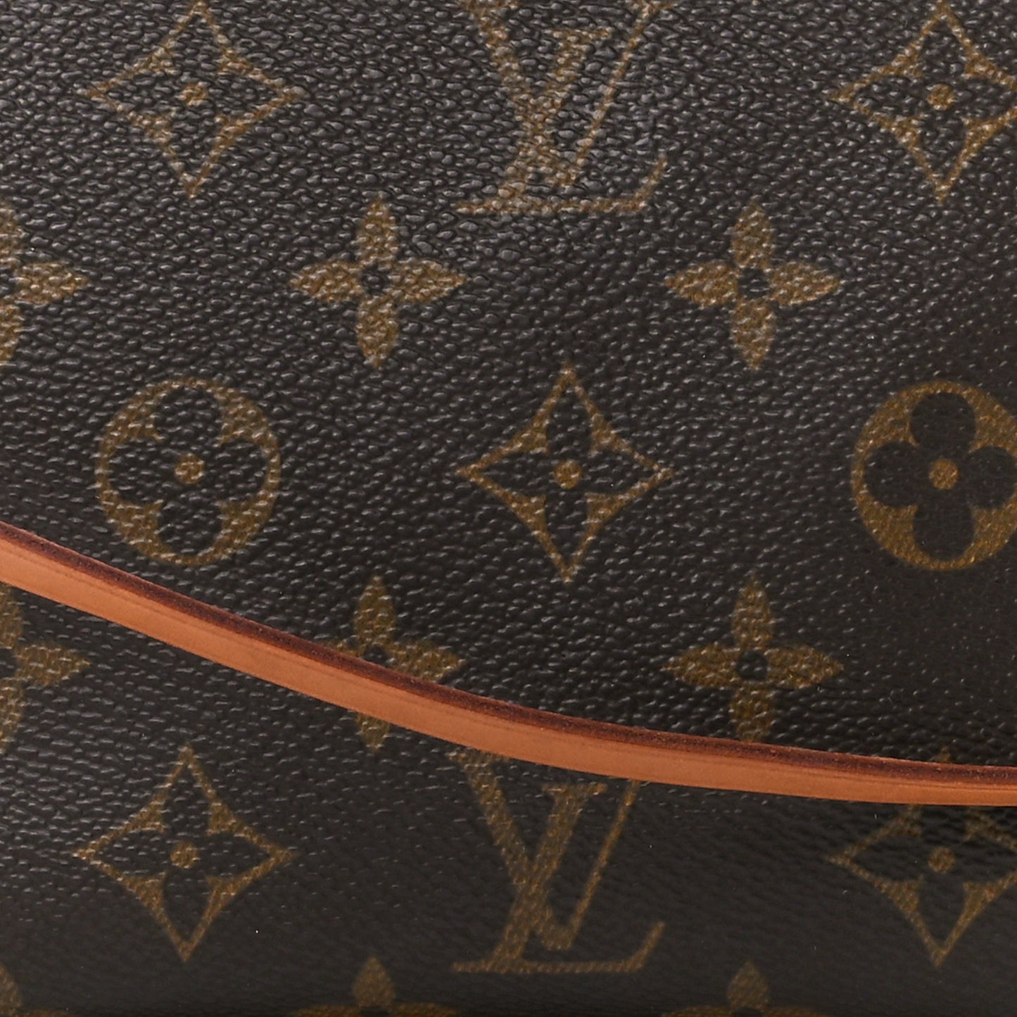 Monogram Pochette Accessories