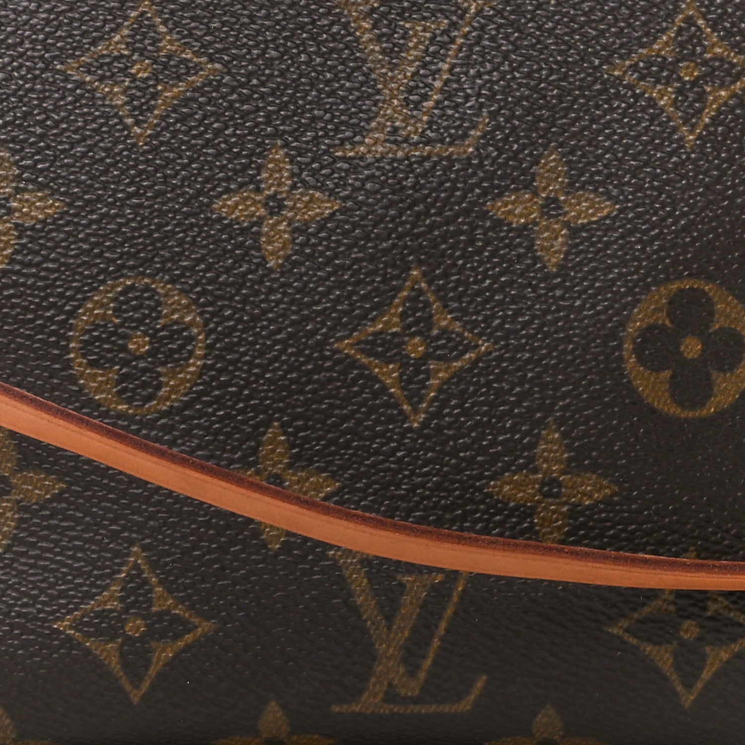 Louis Vuitton Monogram Pochette Accessories 8 of 11