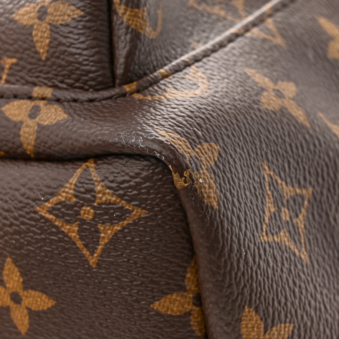 Monogram Palm Springs Backpack PM