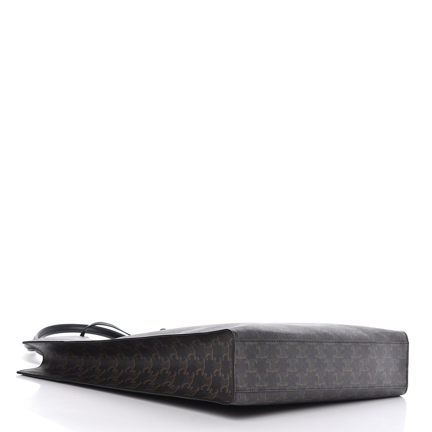 Triomphe Canvas Calfskin Large Vertical Cabas Black