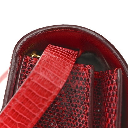 Celine Lizard Medium Classic Box Flap Bag Ruby 12 of 12