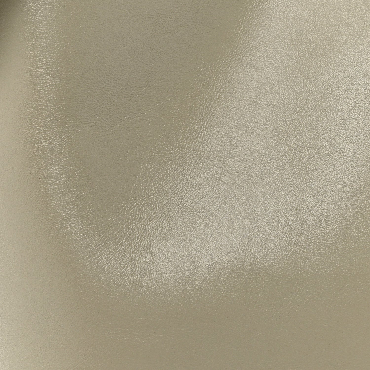 Celine Smooth Calfskin Bucket 16 Bag  Green Clay 9 of 15