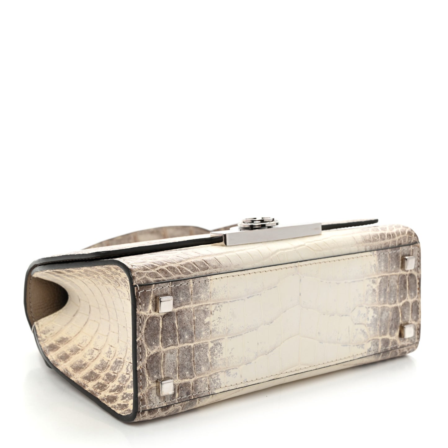 Niloticus Crocodile Himalaya Rejane BB White