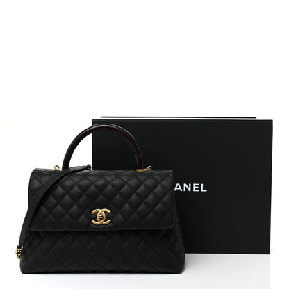 Chanel Caviar Lizard Quilted Medium Coco Handle Flap Black 19 of 19