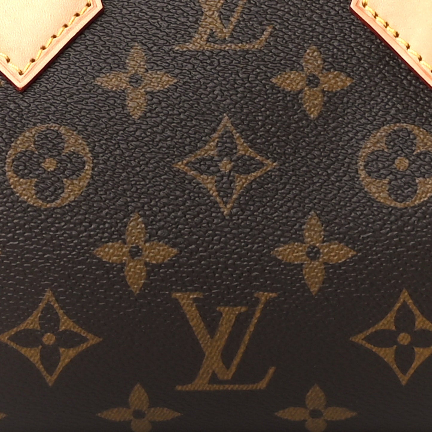 Monogram Speedy Bandouliere 20 Black