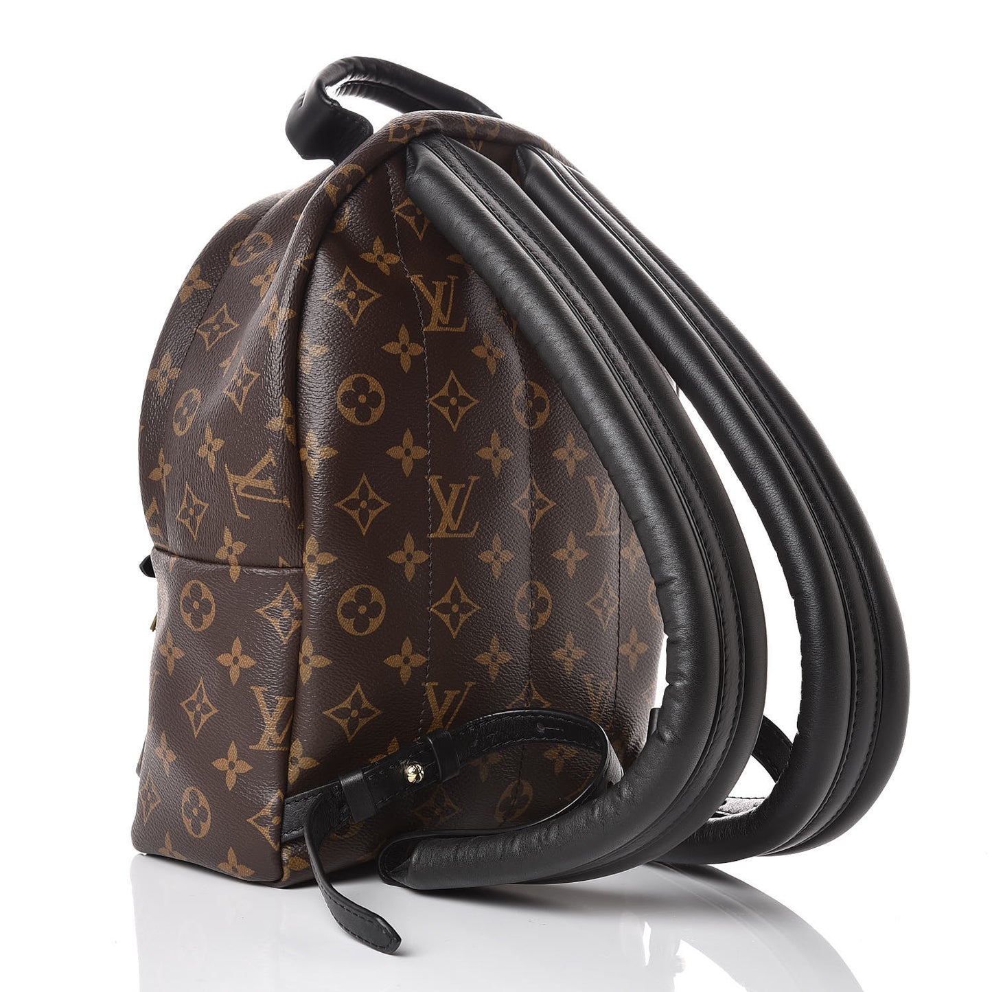 Monogram Palm Springs Backpack PM