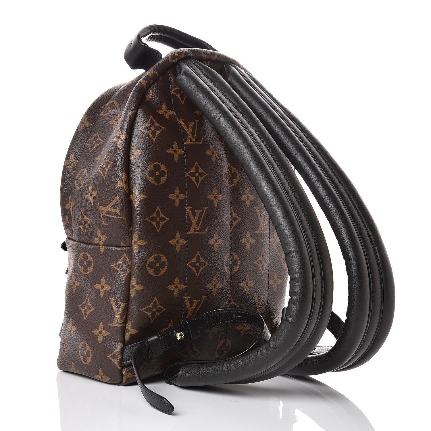 Louis Vuitton Monogram Palm Springs Backpack PM 3 of 7