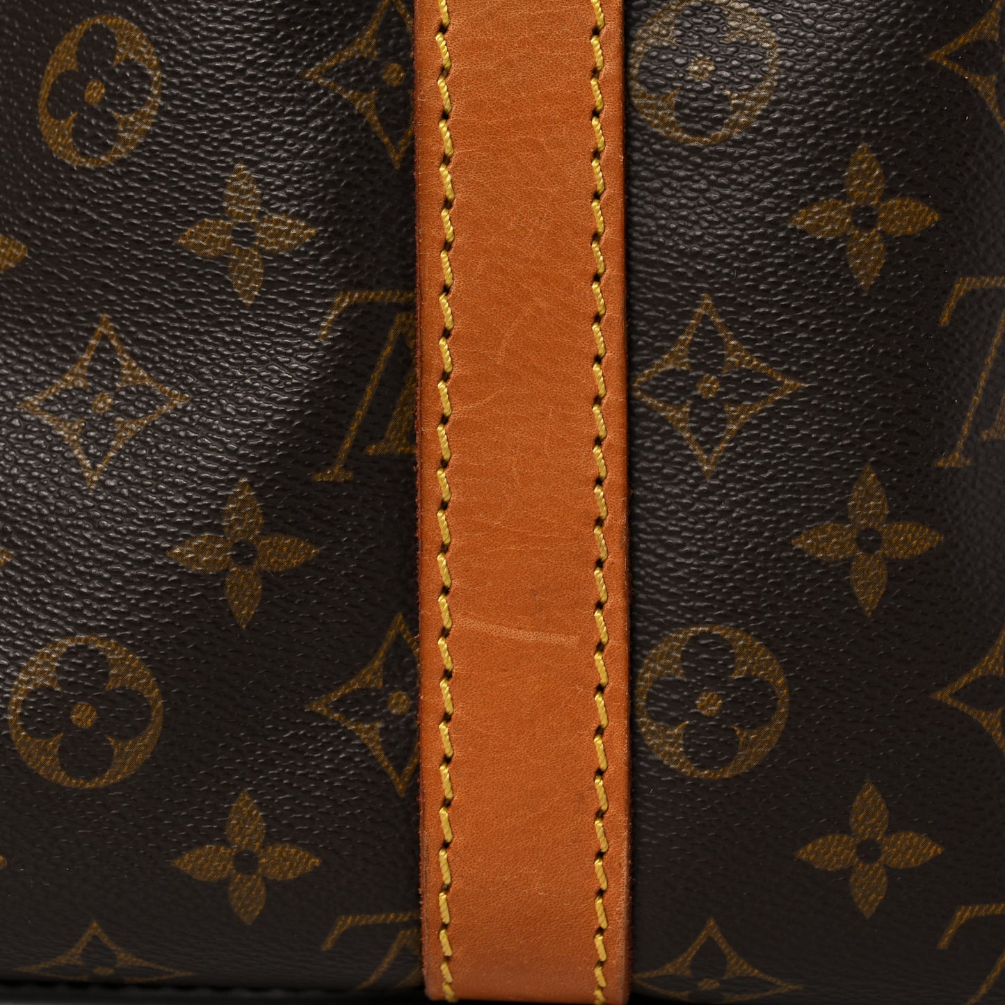 Monogram Sac Chaussures Shoes Carrier Case PM