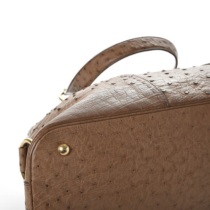 Saint Laurent Ostrich Large Muse 15 of 15