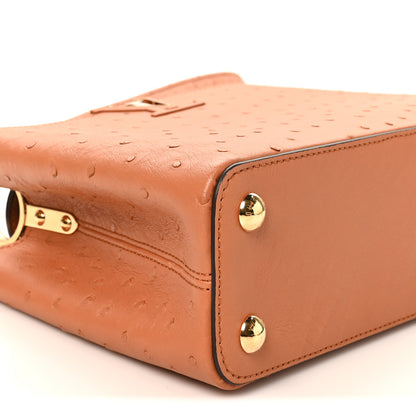 Louis Vuitton Ostrich Capucines BB Cognac 8 of 10