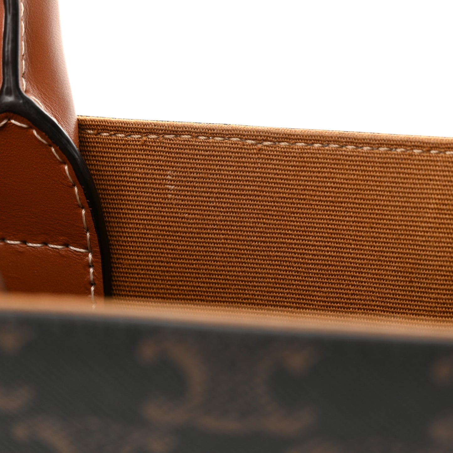 Triomphe Canvas Calfskin Mini Vertical Cabas Tan