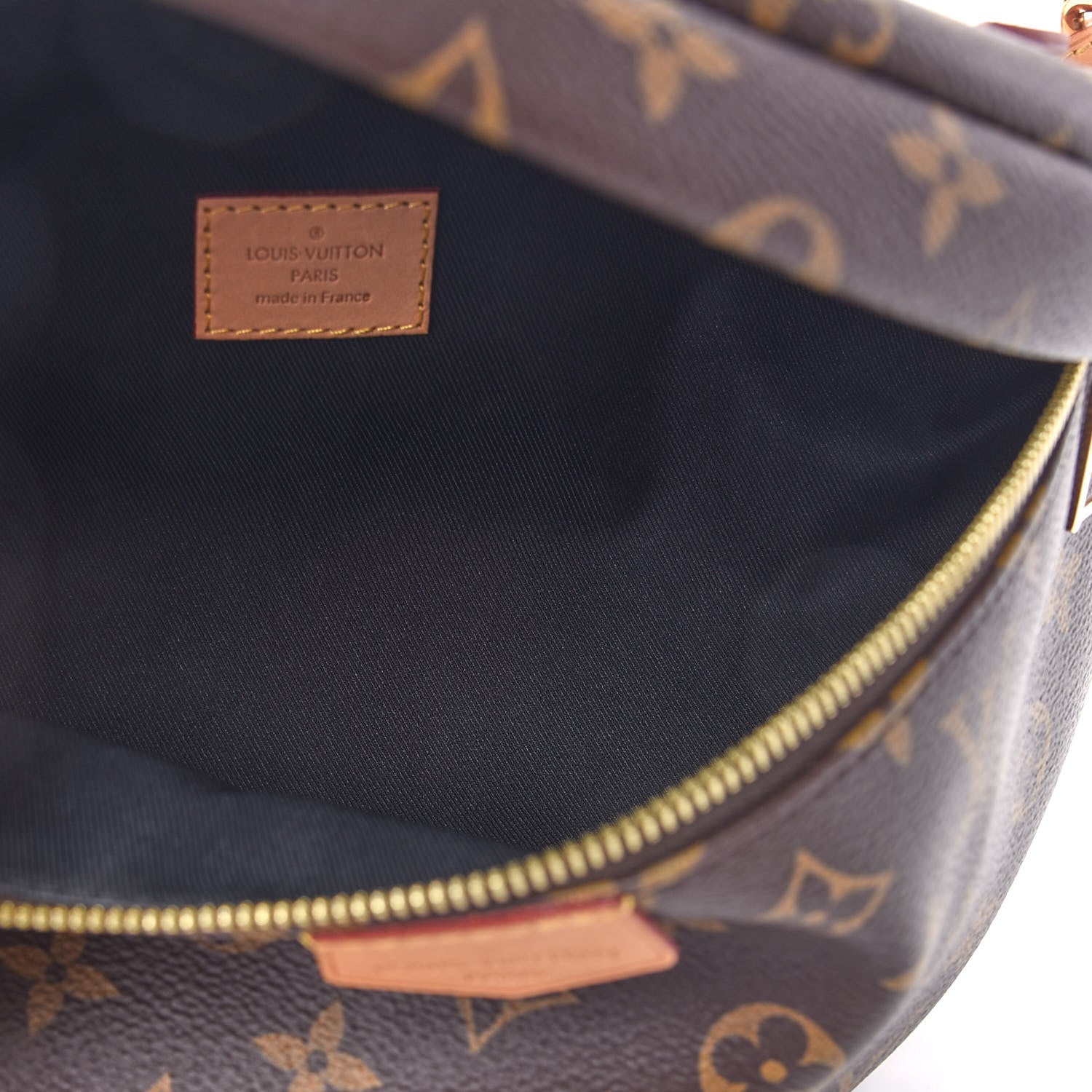 Louis Vuitton Monogram Bumbag 5 of 6