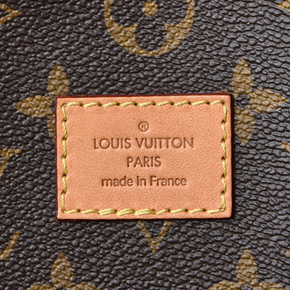 Louis Vuitton Monogram Cindy Sherman Camera Messenger 7 of 23
