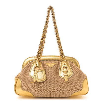 Prada Paglia Cinghiale Frame Tote Naturale Oro 1 of 13