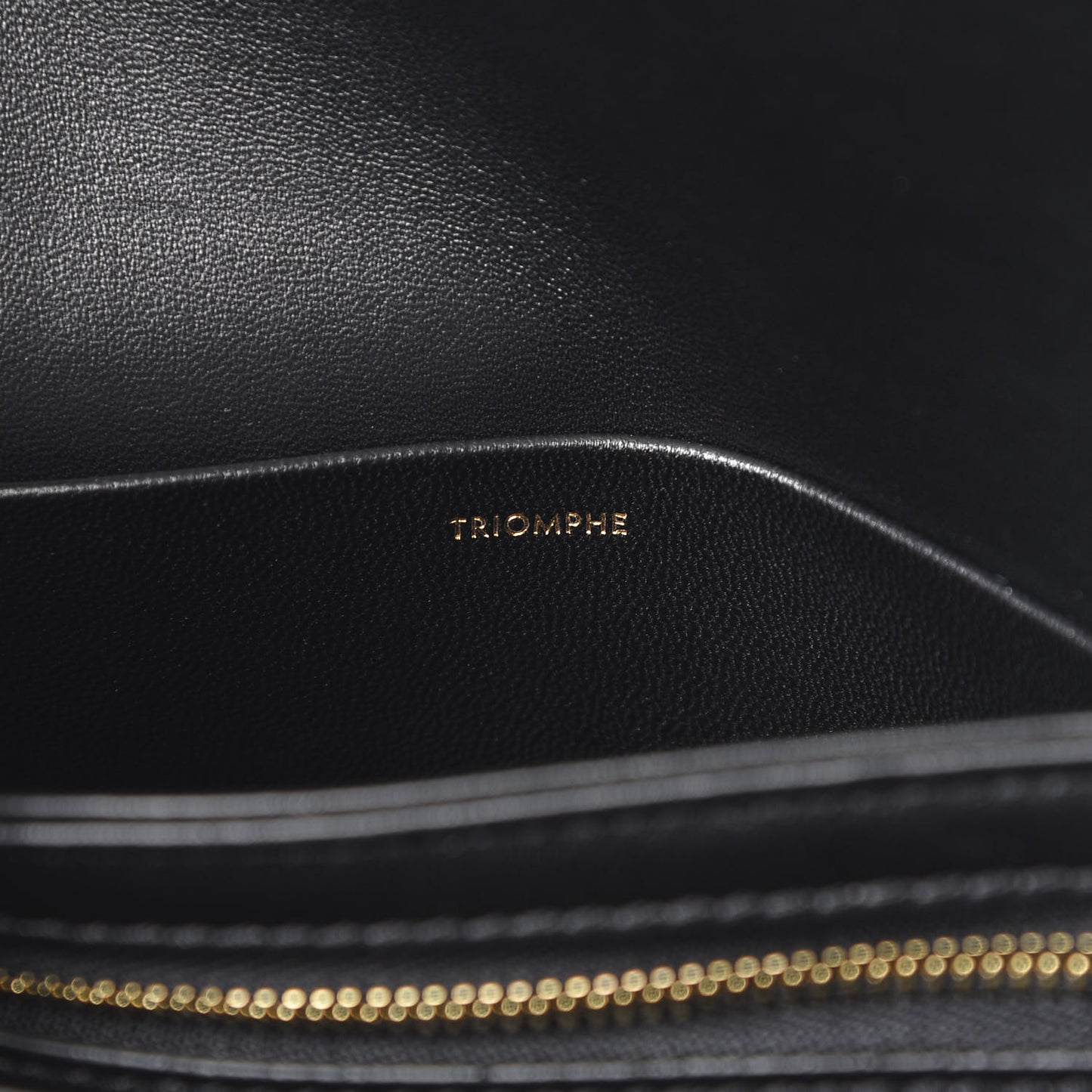 Shiny Calfskin Nano Triomphe Black