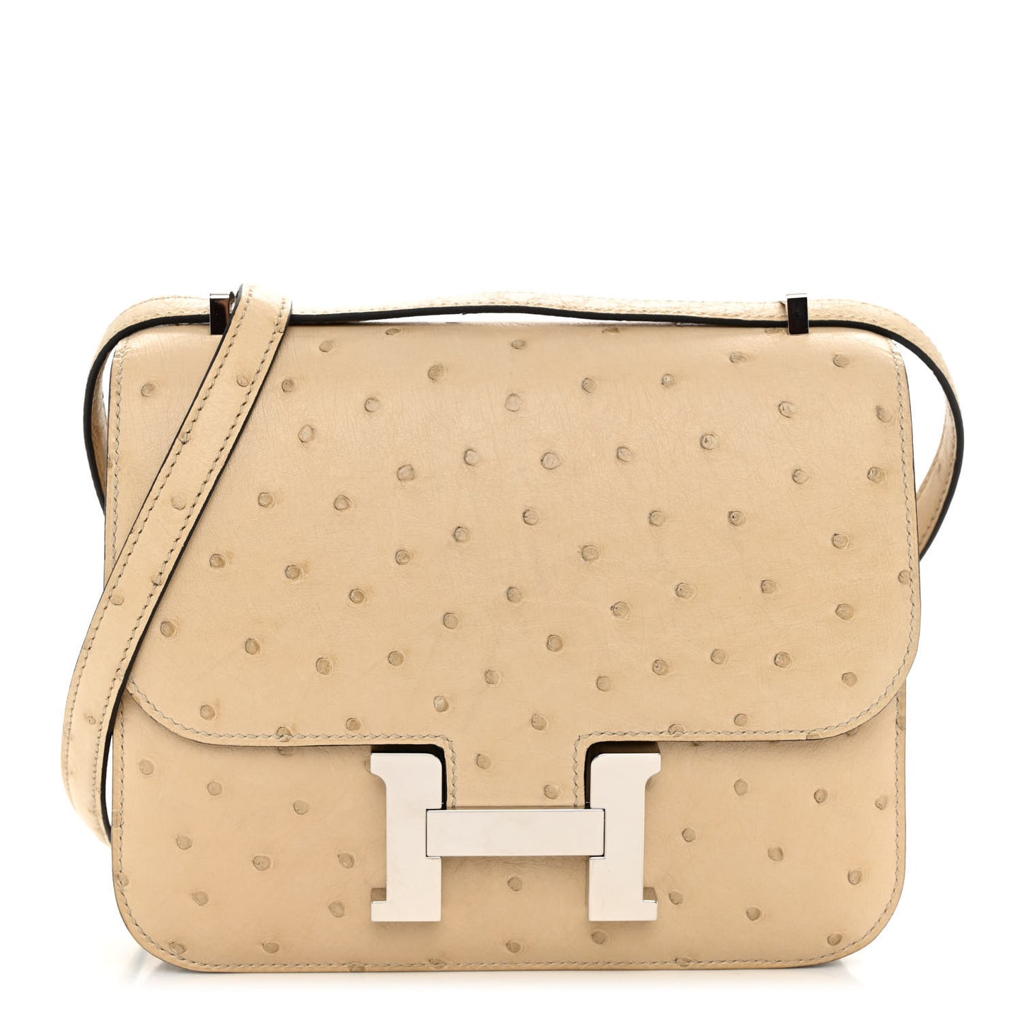 Ostrich Constance 18 Parchemin