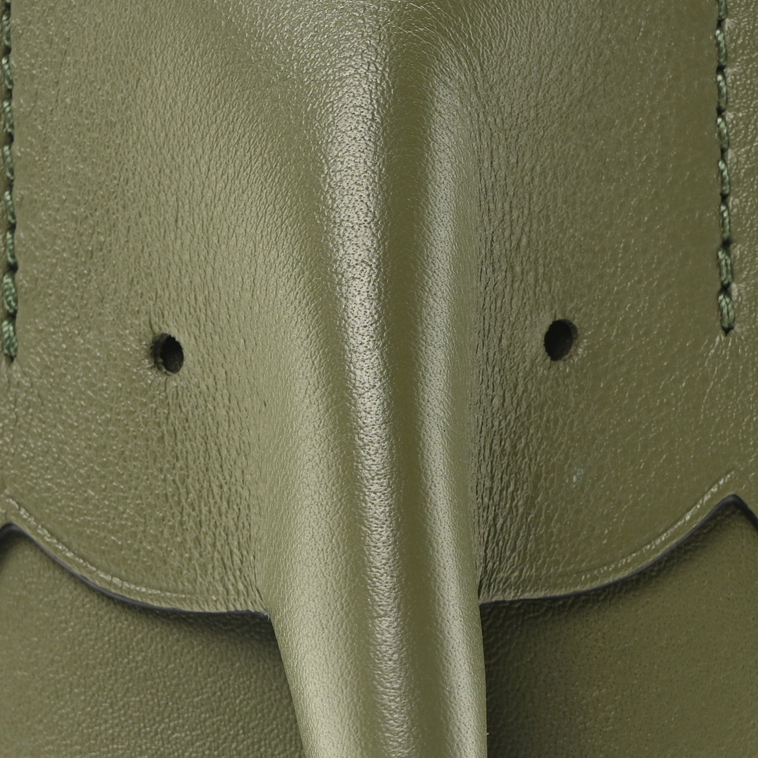 Loewe Calfskin Elephant Pouch Crossbody Bag Avocado 7 of 9