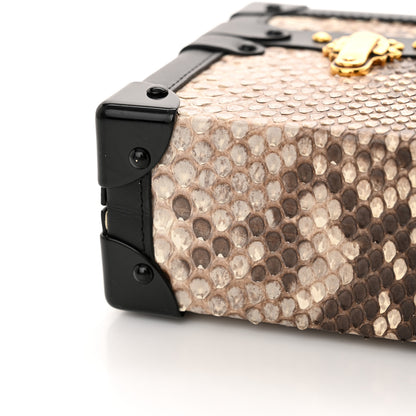 Louis Vuitton Snakeskin Petite Malle 10 of 12