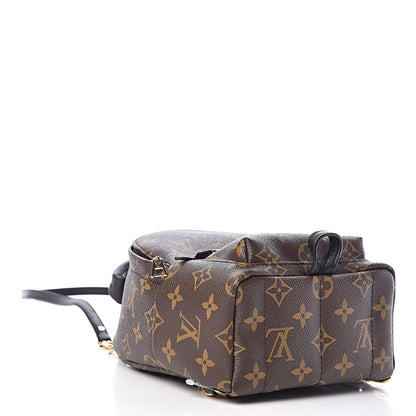 Louis Vuitton Monogram Palm Springs Backpack Mini 4 of 11
