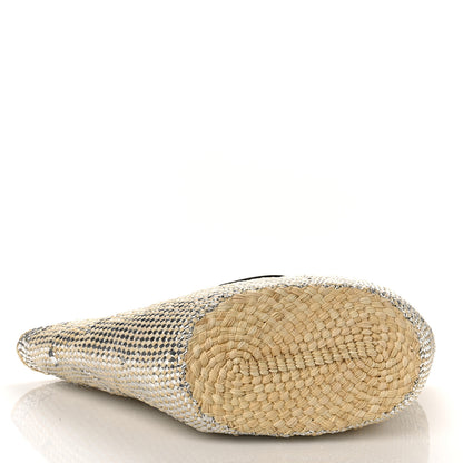 Loewe Calfskin Raffia Paulas Ibiza Sparkling Metallic Anagram Basket Tote Bag Natural Silver 4 of 10