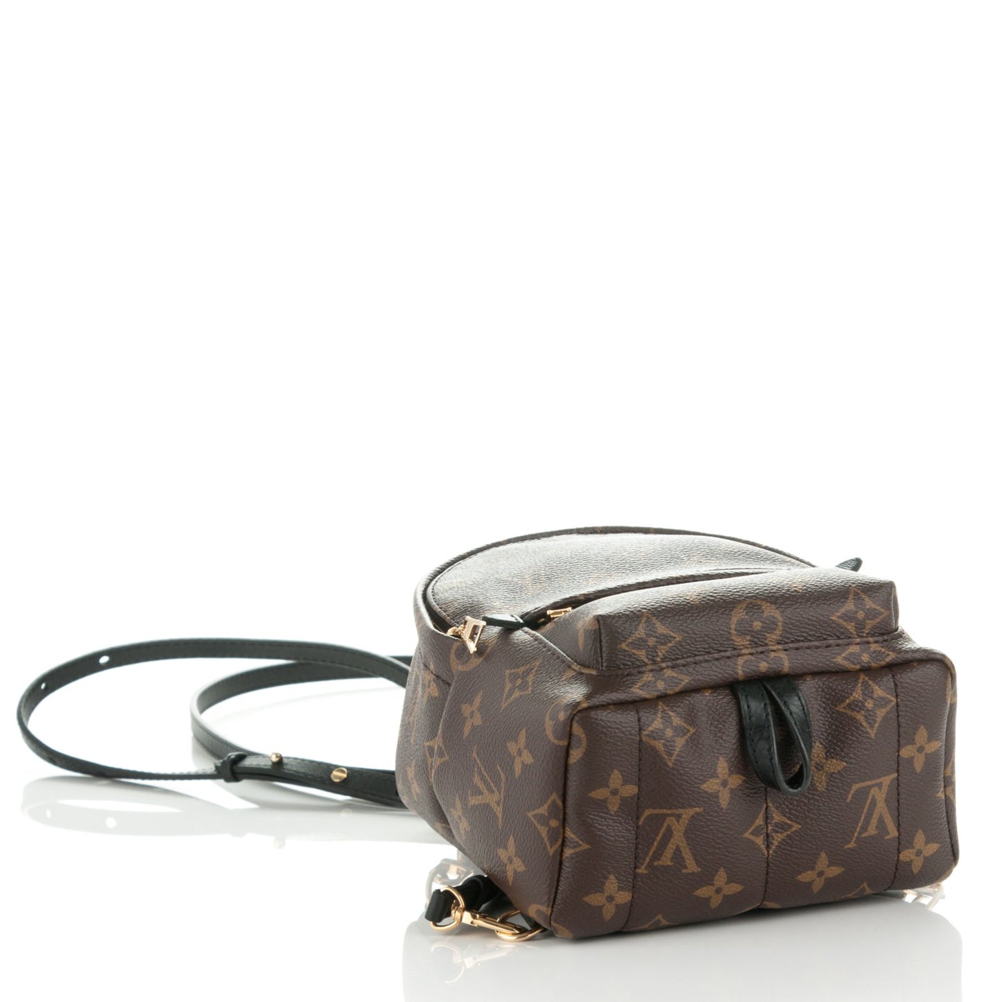 Monogram Palm Springs Backpack Mini