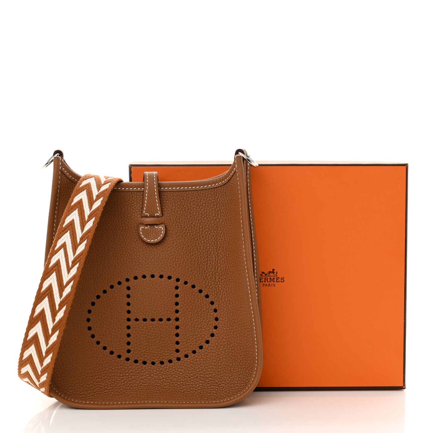 Taurillon Maurice Amazone Evelyne TPM Gold White