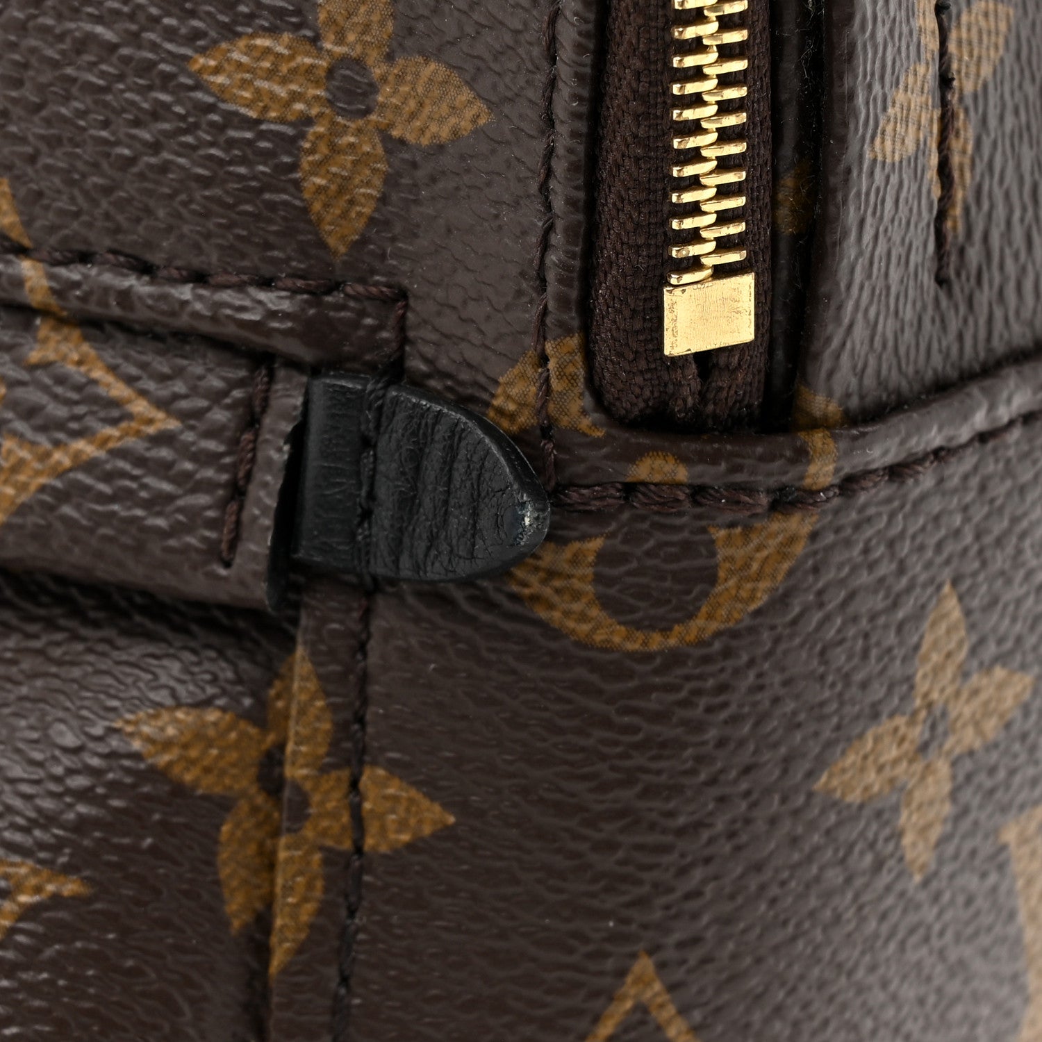 Louis Vuitton Monogram Palm Springs Backpack Mini 11 of 13