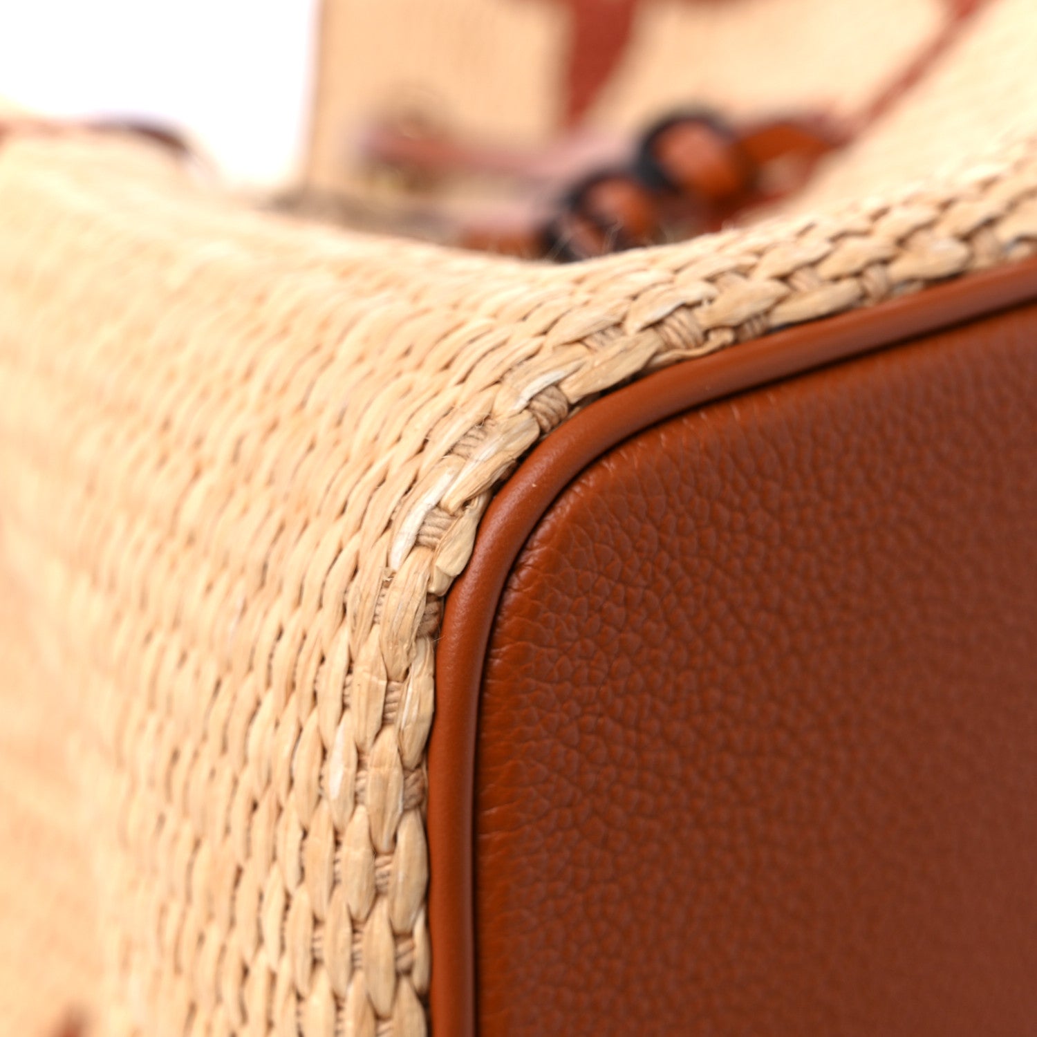 Louis Vuitton Raffia Calfskin Monogram Neonoe MM Tan 7 of 10