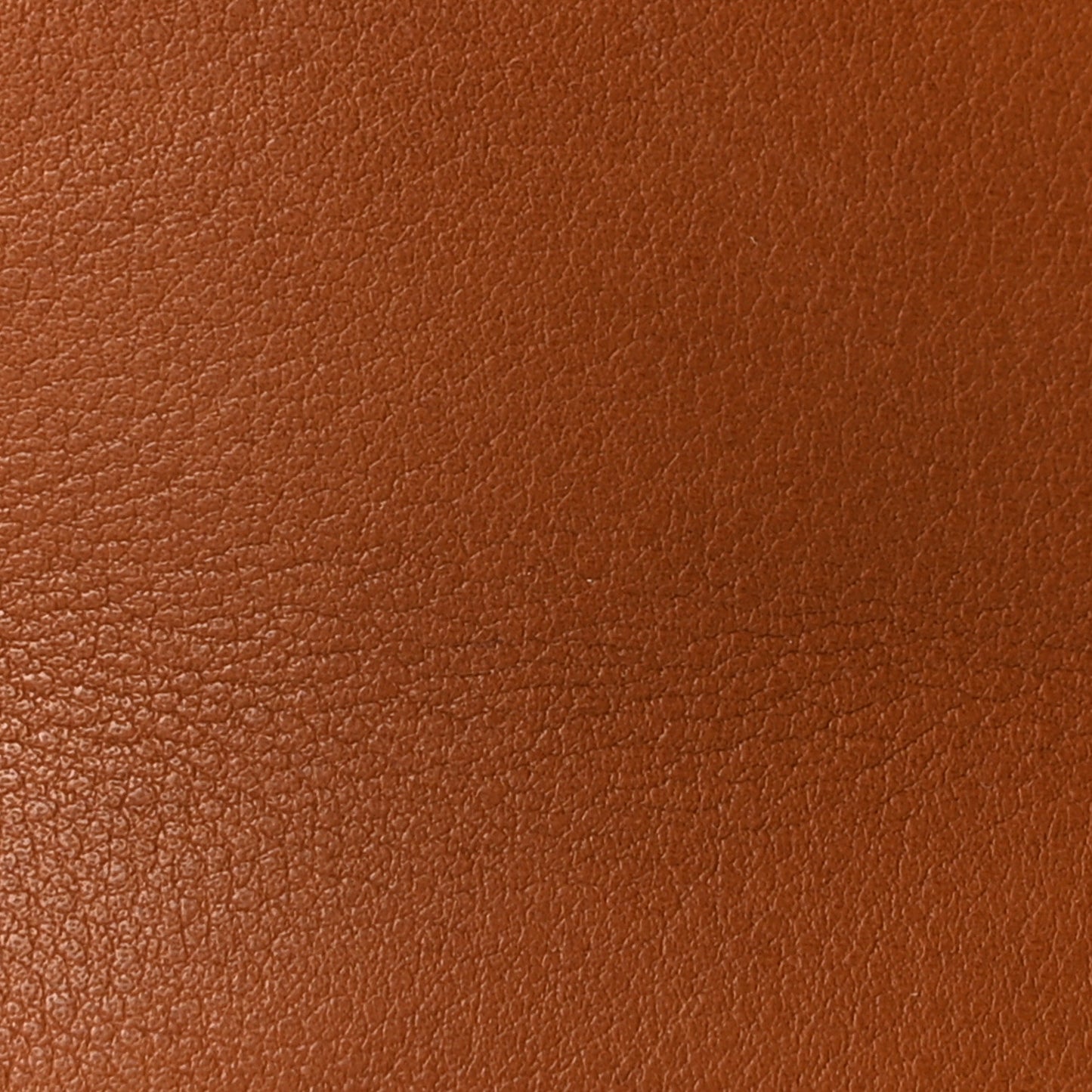 Polished Saddle Calfskin Soft Margaux 10 Bag Cuir
