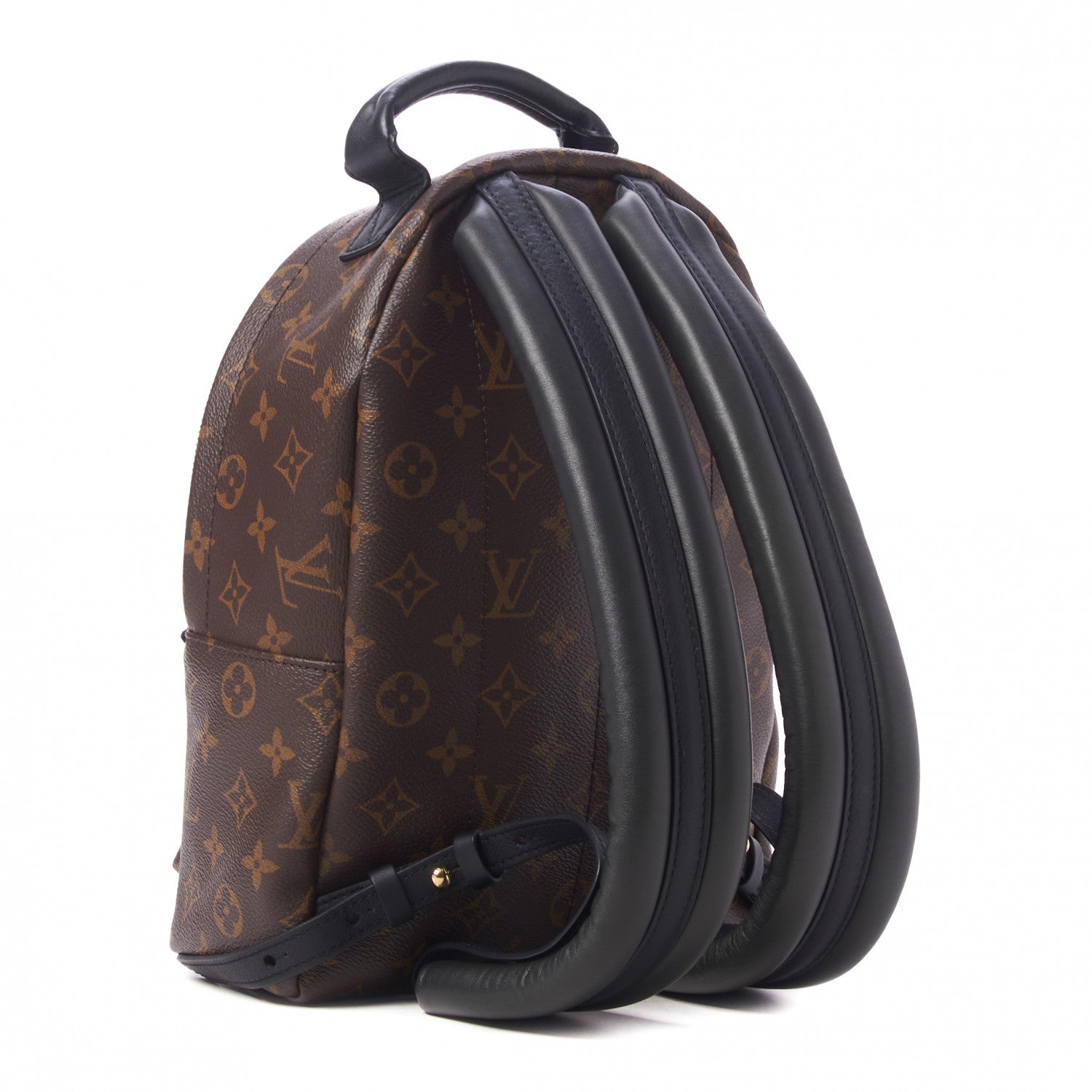 Louis Vuitton Monogram Palm Springs Backpack PM 3 of 10