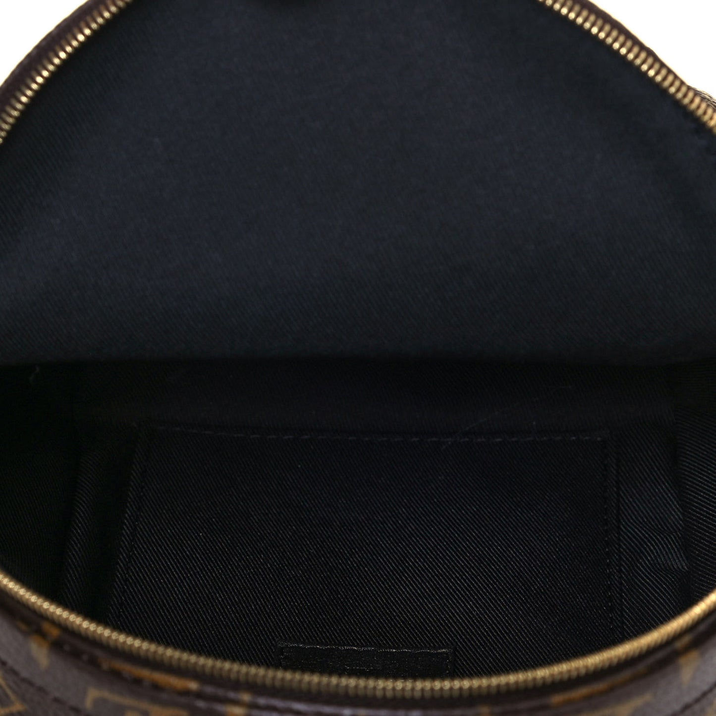 Monogram Palm Springs Backpack Mini
