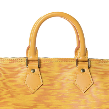 Louis Vuitton Epi Speedy 25 Tassil 8 of 9