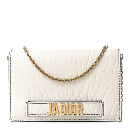 Christian Dior Canyon Grained Lambskin Mini J'Adior Chain Flap Bag White 1 of 12