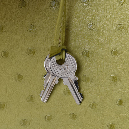 Hermes Ostrich Birkin 30 Vert Anis 22 of 29