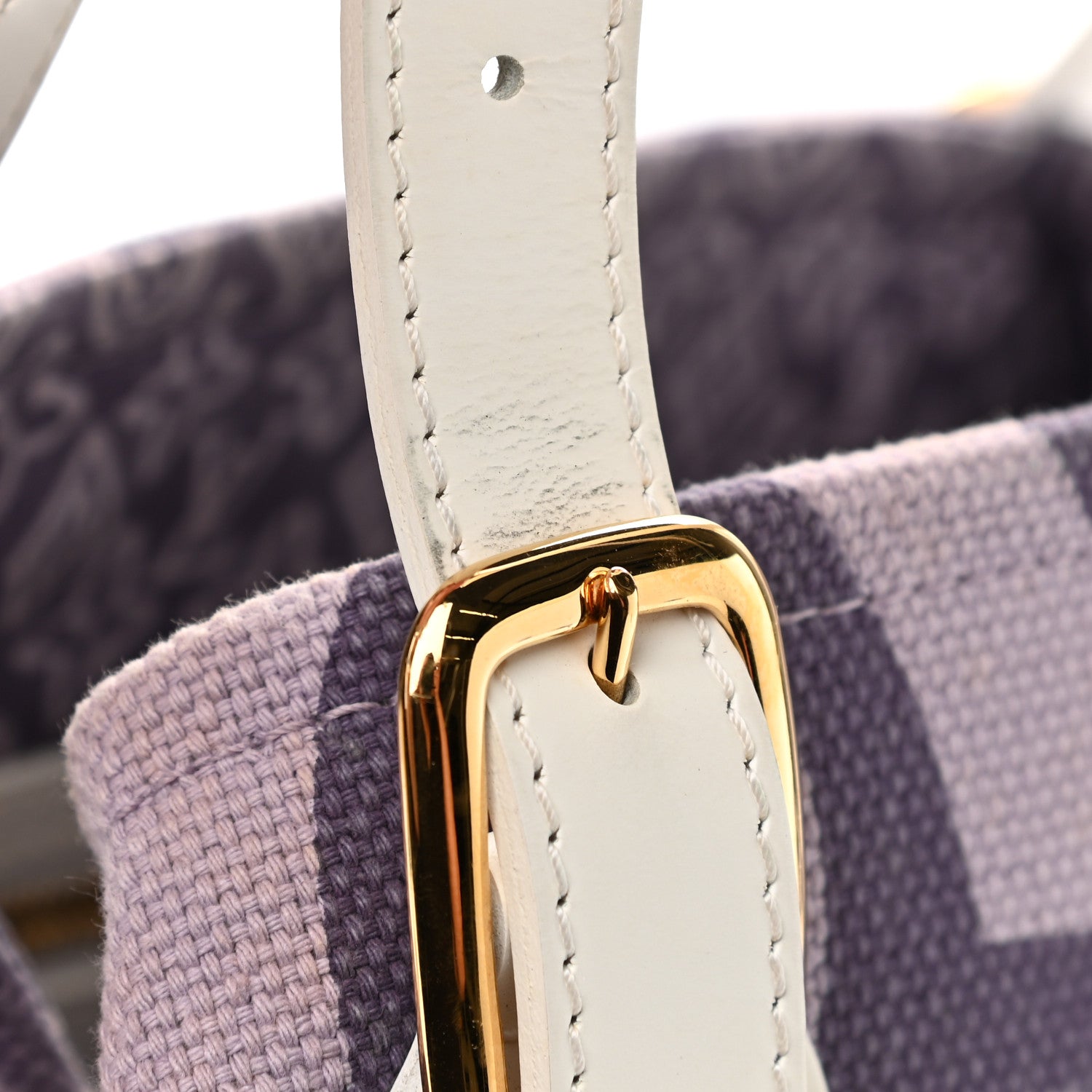 Louis Vuitton Tahitienne Cabas PM Lilac 15 of 15
